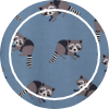 karfitsomenosgatos-pattern-print-raccoon